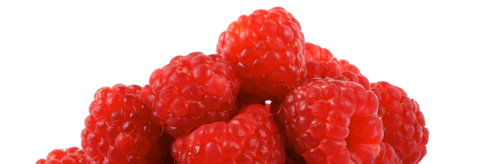 Photo of raspberries 