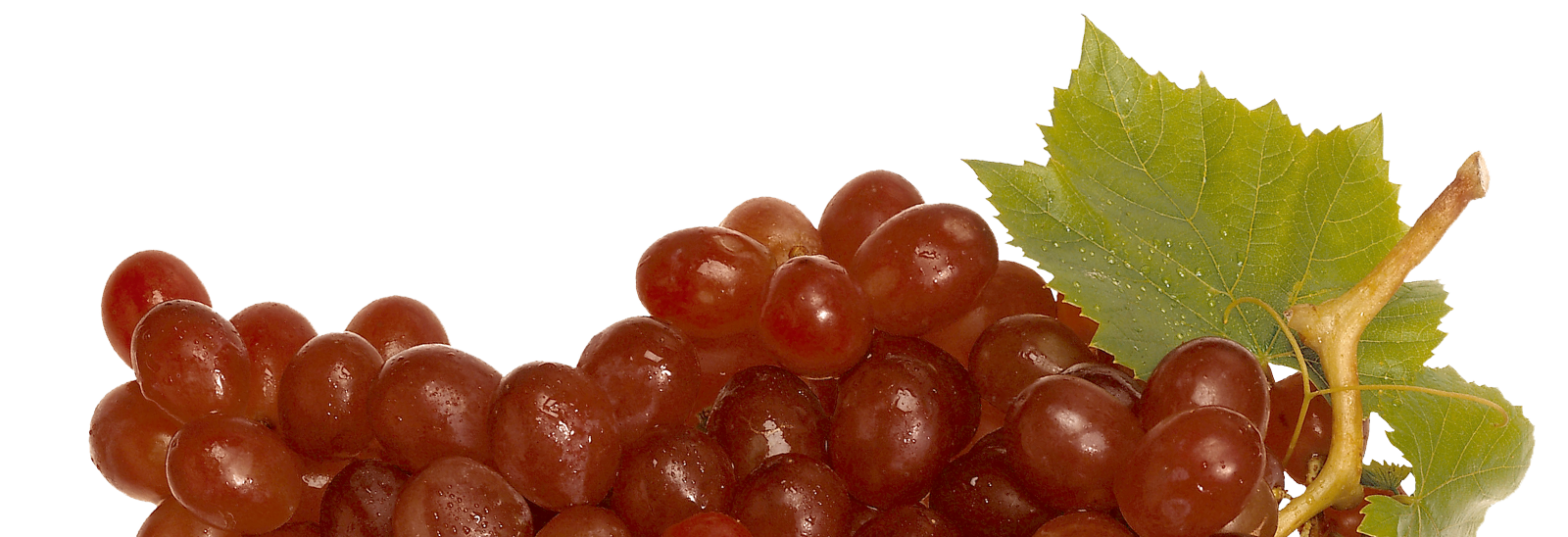 Picture of grapes. 