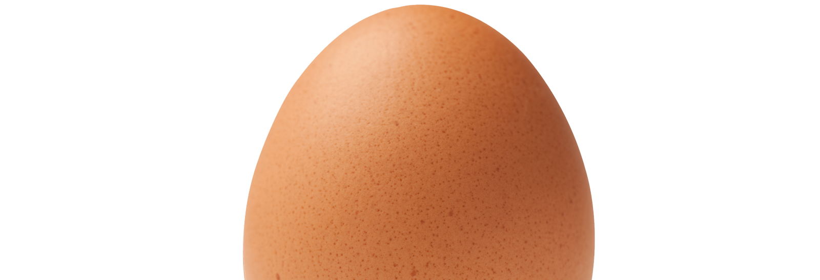 Un huevo 
